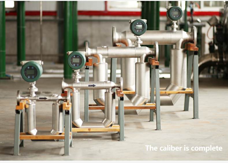 Coriolis flow meter 